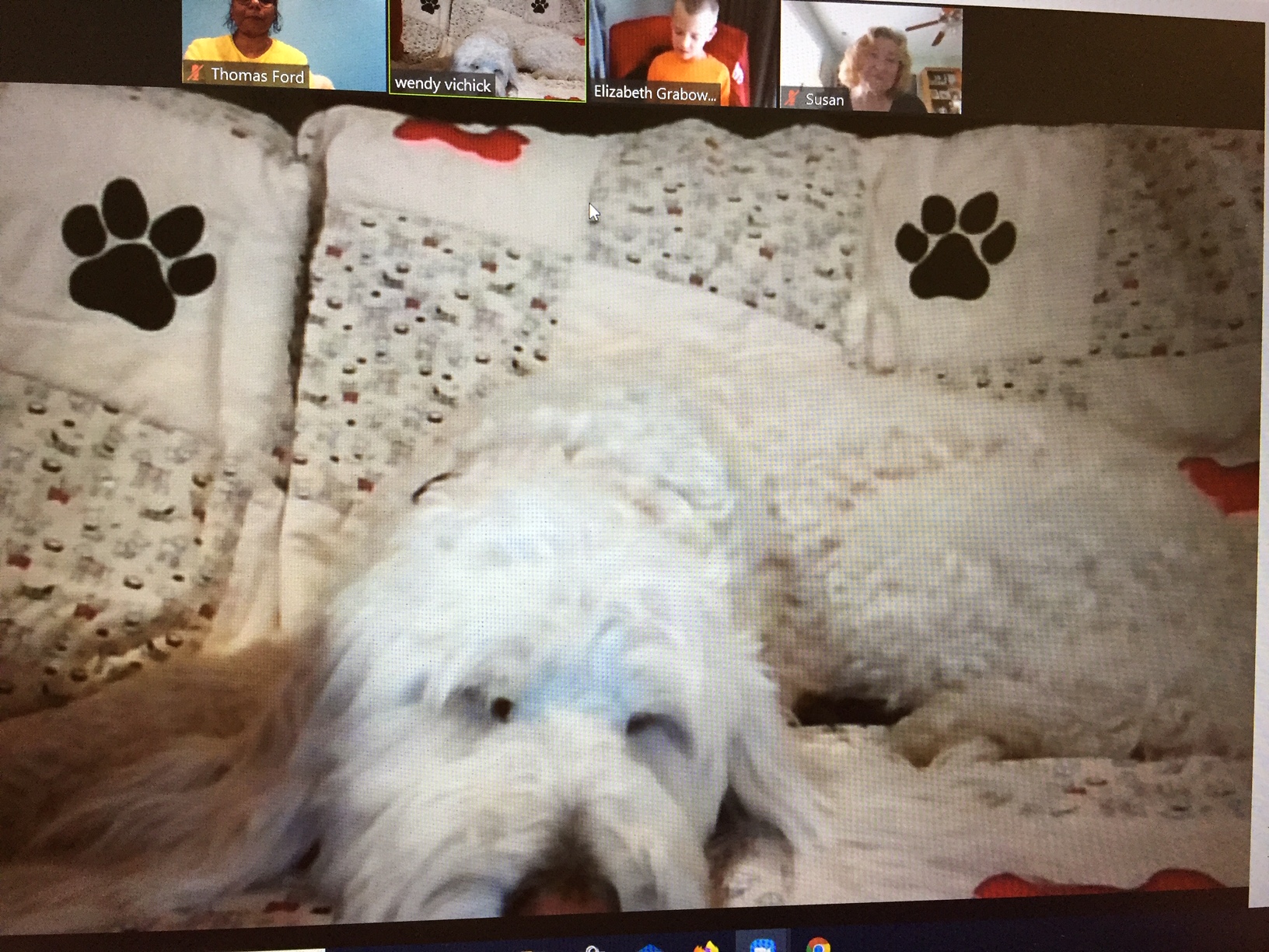 Virtual Read to a Therapaws Pet