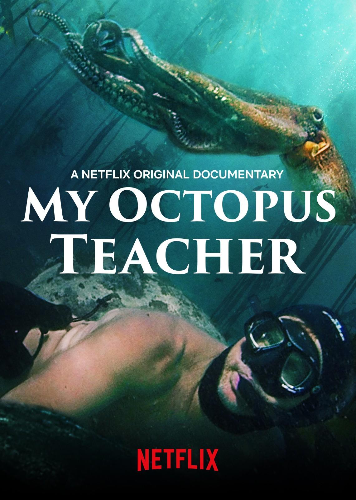 My Octopus Teacher poster of a view under the ocean